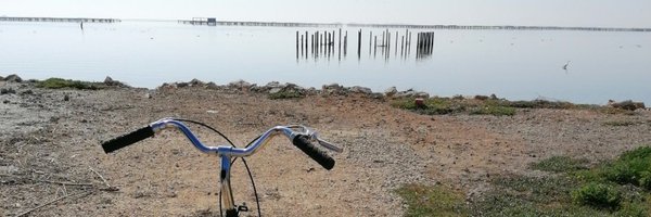 SankTheory's profile banner image