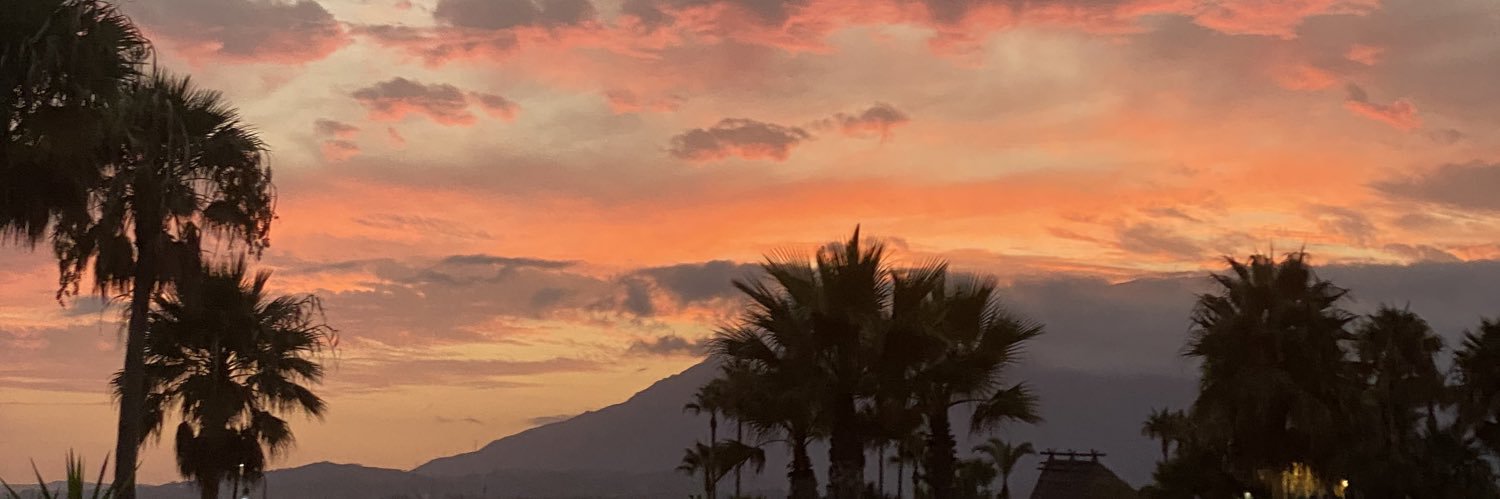 lorena parras banner
