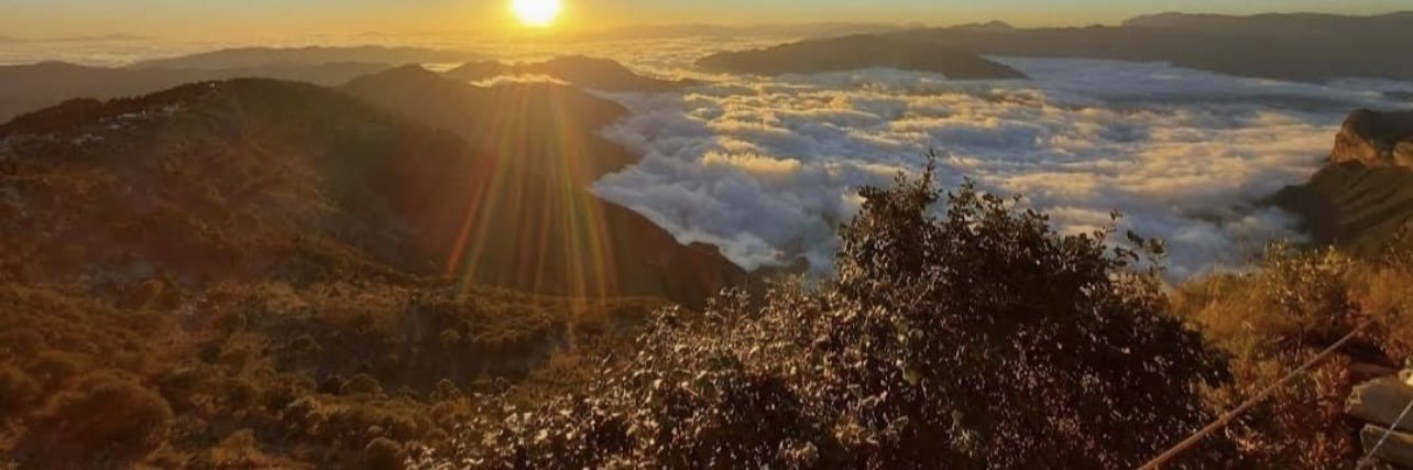 JoshDiaz79's profile banner image