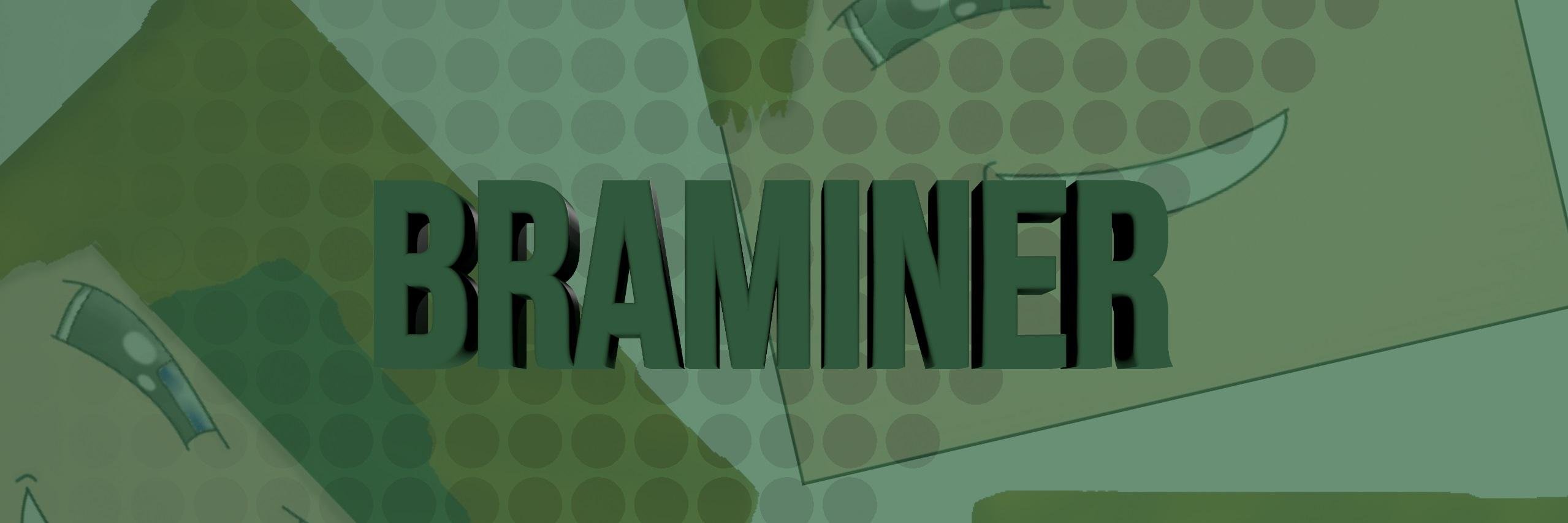 braminer's profile banner image