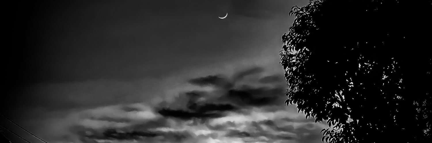 zhonba's profile banner image