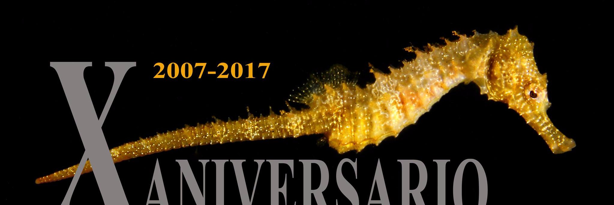 Asociación Hippocampus banner