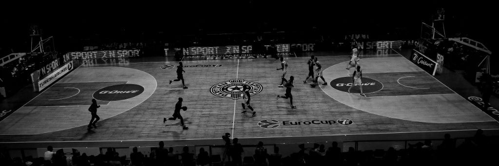 Milenko Janjic banner