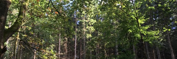 NeilPopeMRICS Profile Banner