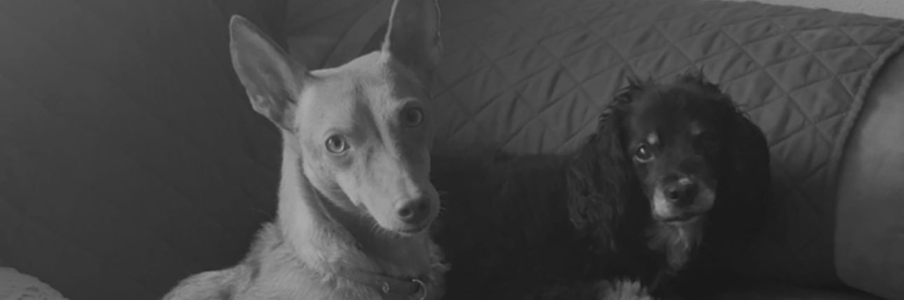 AnaMariaGomez31's profile banner image