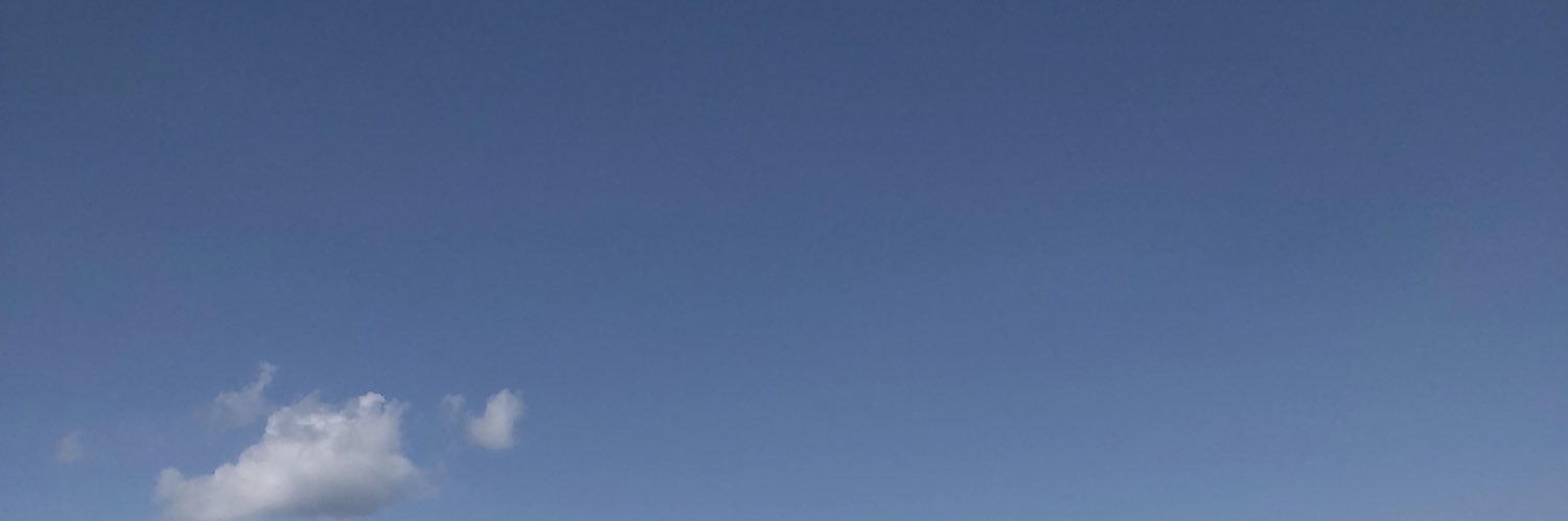 tally_1300's profile banner image