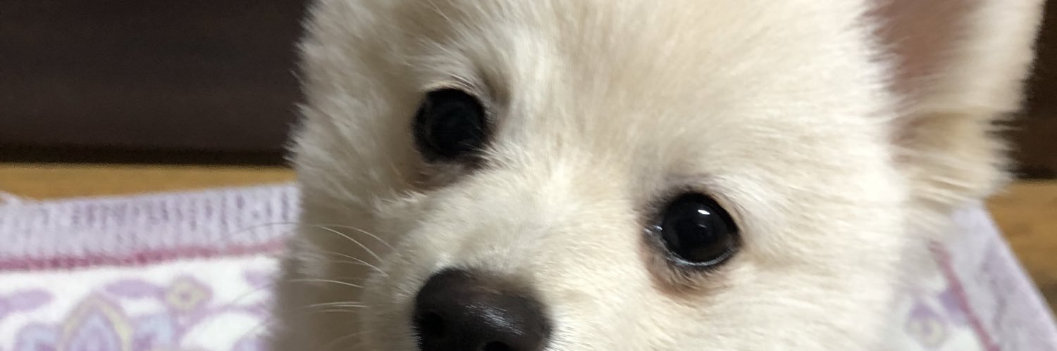 aj6_tic's profile banner image