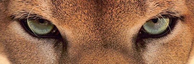 BeaaAlmodovar's profile banner image