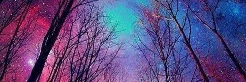 marsivbot's profile banner image