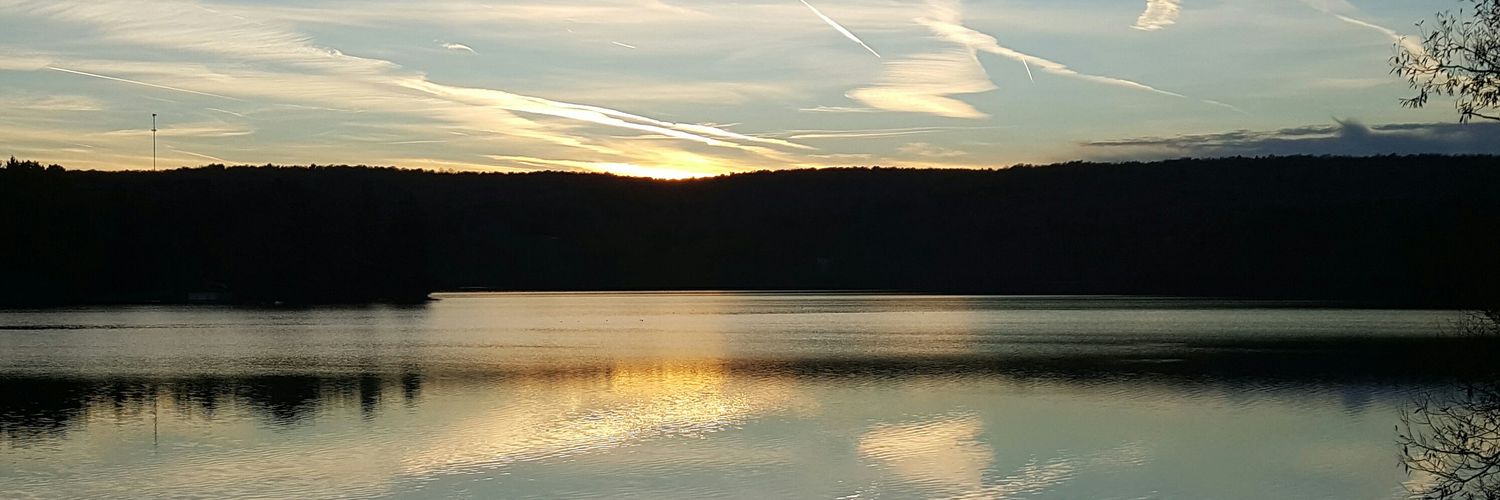 BarbTalty's profile banner image
