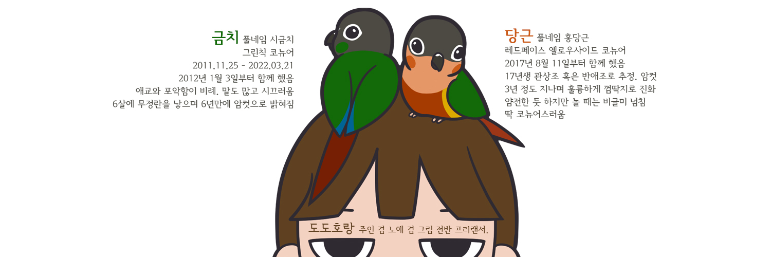 conure_geumchi's profile banner image