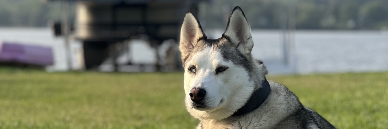 P0Ily's profile banner image