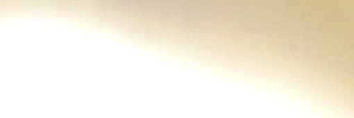 pedro banner