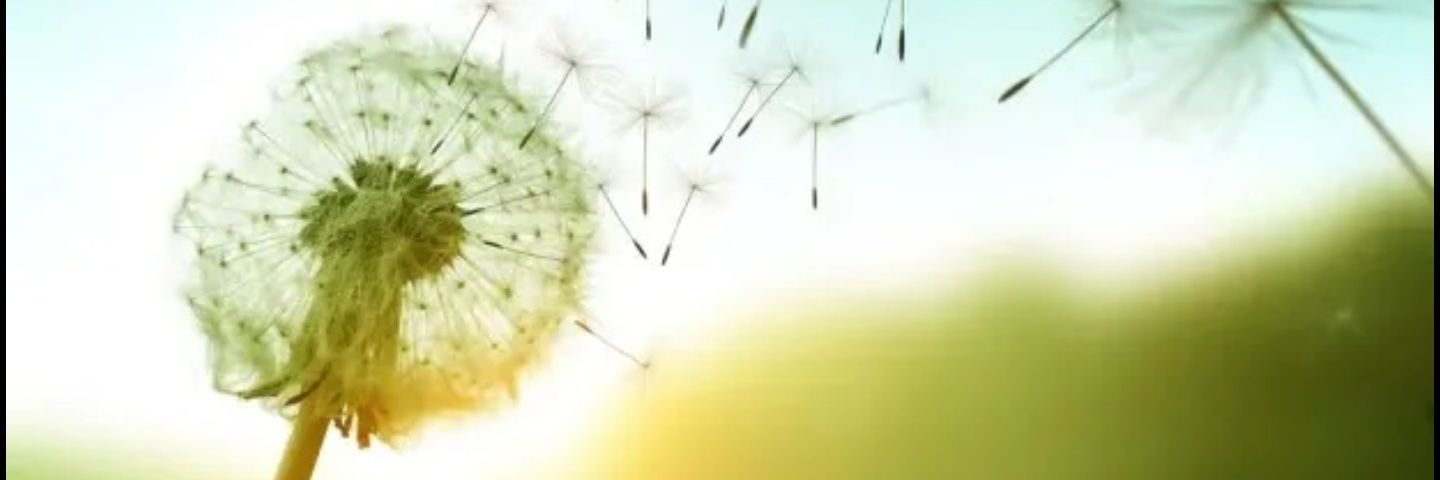 alwaysmile0624's profile banner image