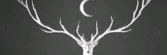 pulula534's profile banner image