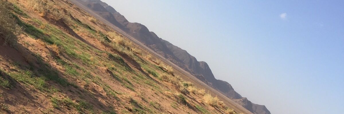 aaff55547's profile banner image