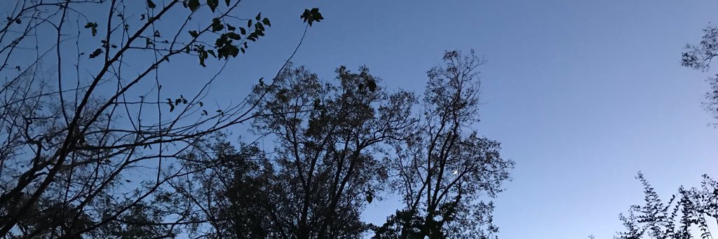 Screamswithkyle's profile banner image