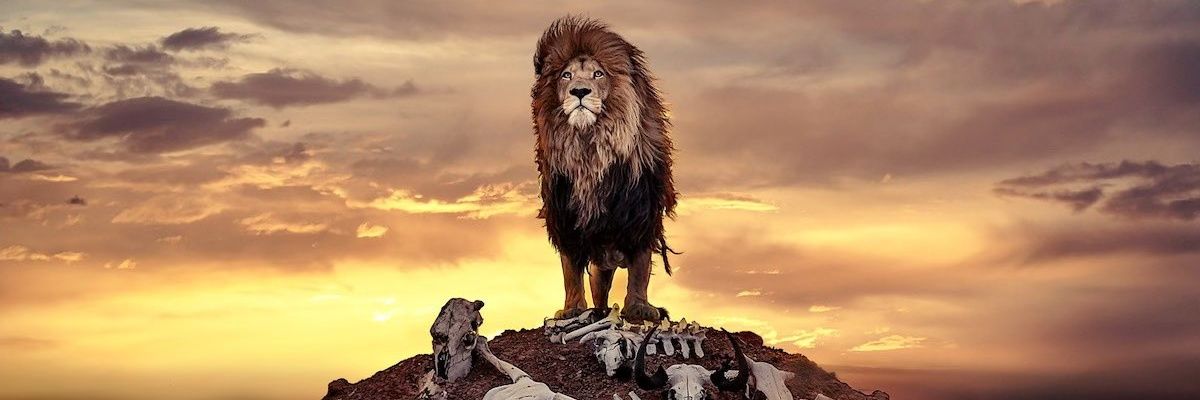 BossMan_JV's profile banner image