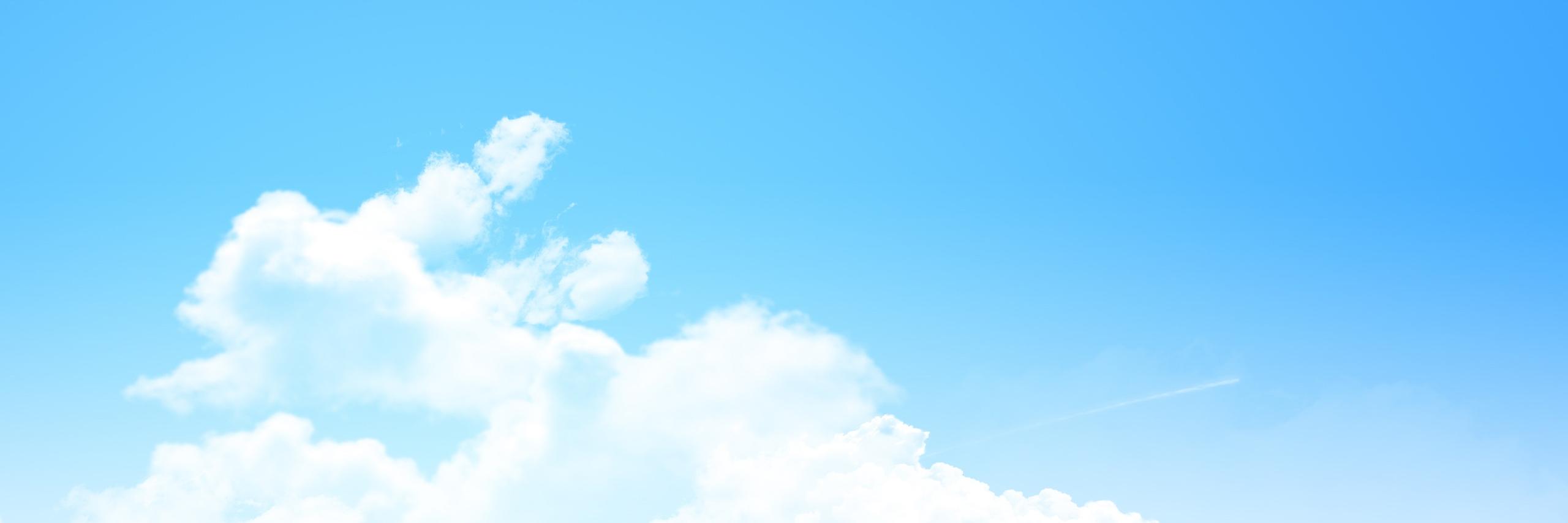 AlexandraTRNT's profile banner image