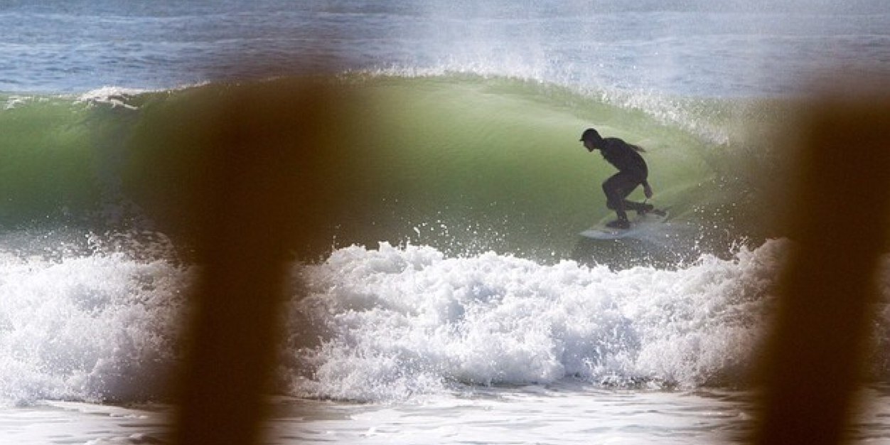 WildOceanSurf's profile banner image
