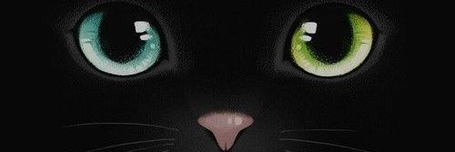 berliozlou's profile banner image
