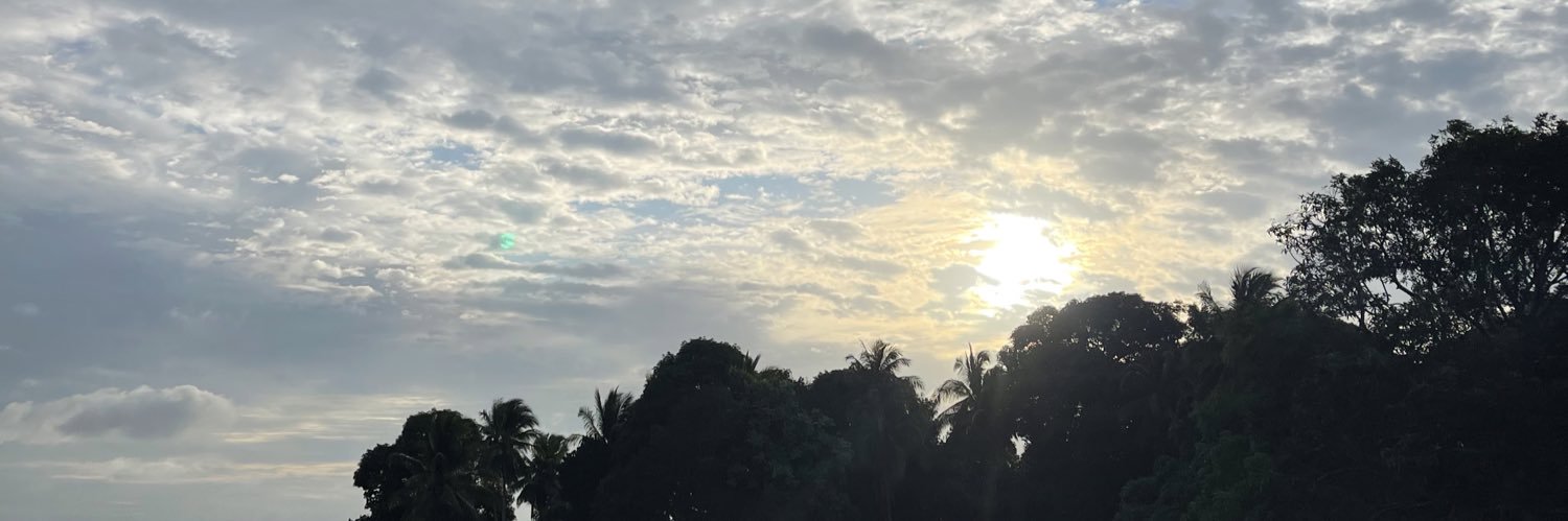 A Y A banner