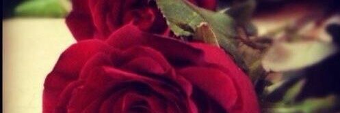 soosoo44ga's profile banner image
