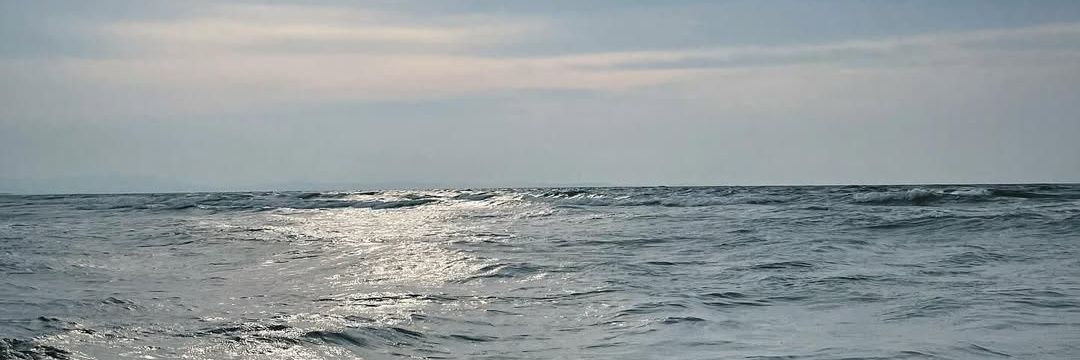 ลองแวะดู. banner