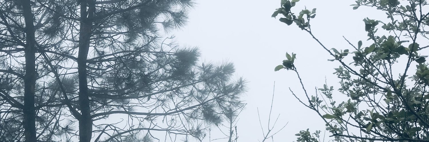 la_ainhe's profile banner image