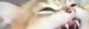 AleGunx's profile banner image