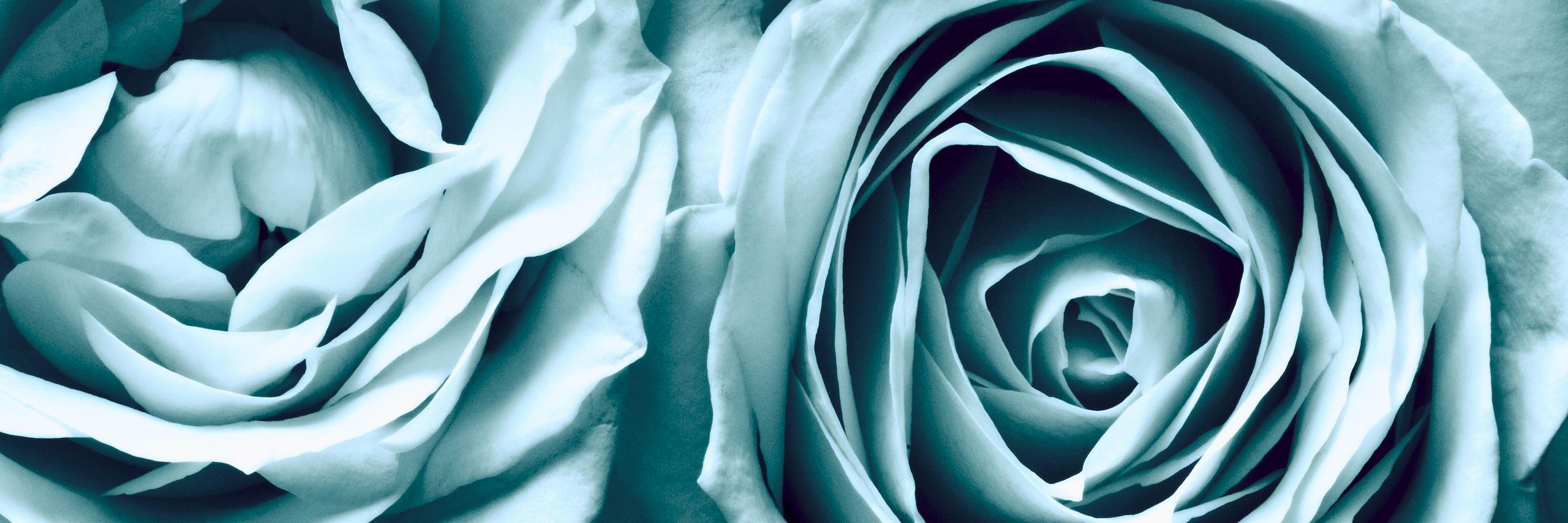 Juliechoco92's profile banner image
