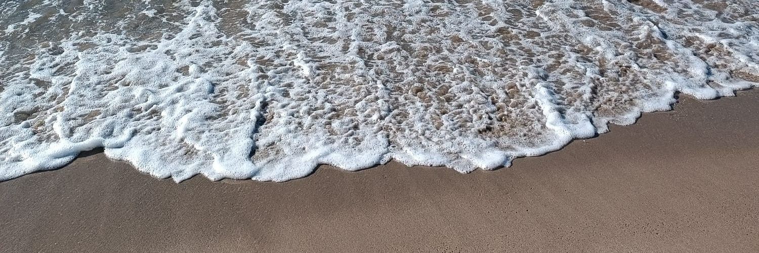 BinbirBora's profile banner image