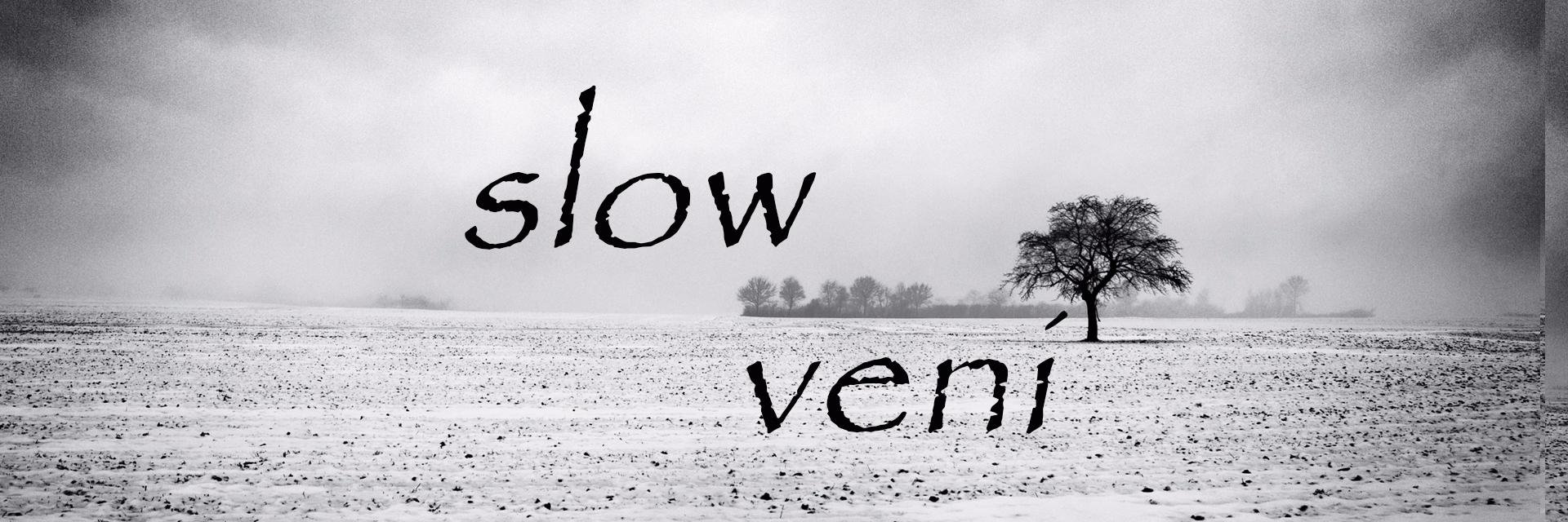 SlowVeni's profile banner image