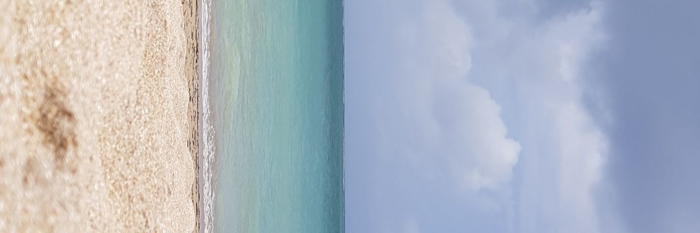 Xonilds_'s profile banner image