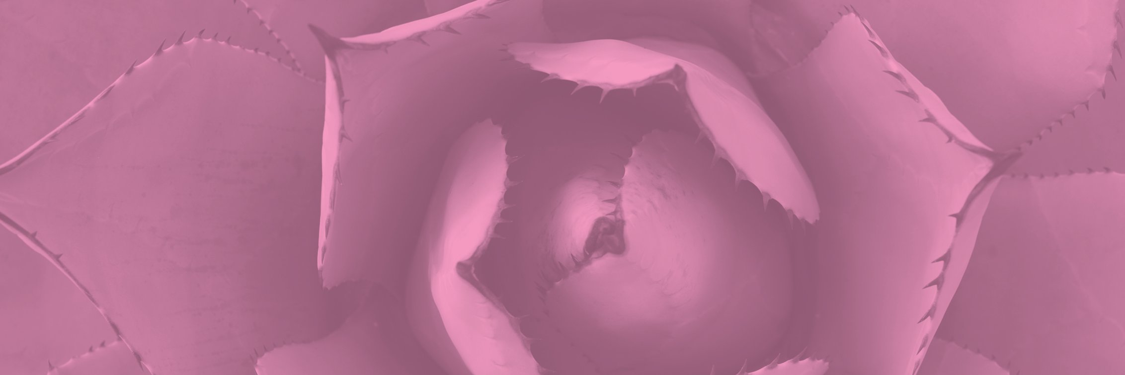 AbMurphyDesign's profile banner image