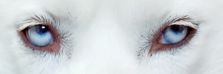 RobertFWilliams's profile banner image