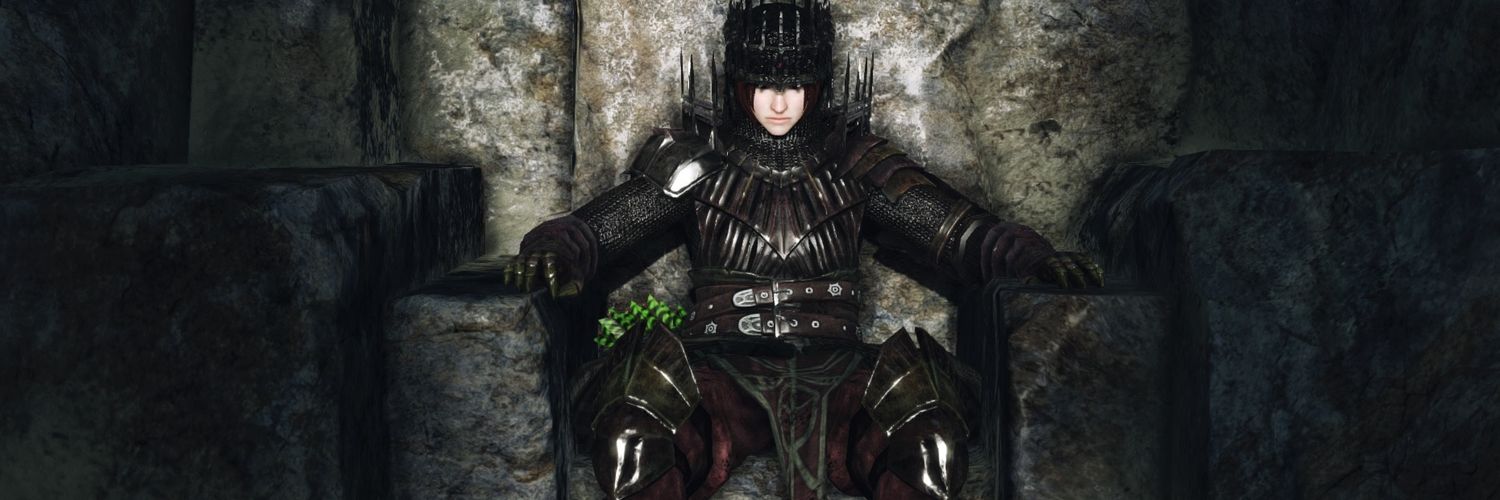 PaladinGris's profile banner image