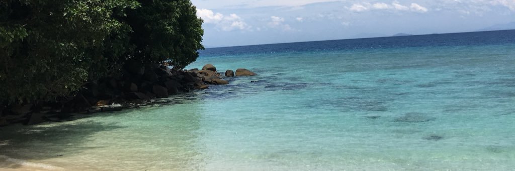 NurSyaz94's profile banner image
