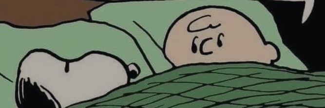 CatVibesTo's profile banner image