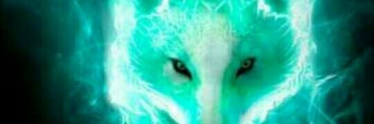 Osa40338384's profile banner image