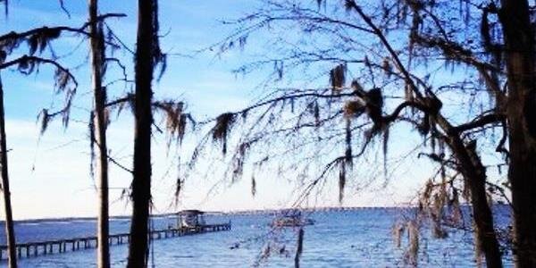 Phillip_Vincent's profile banner image