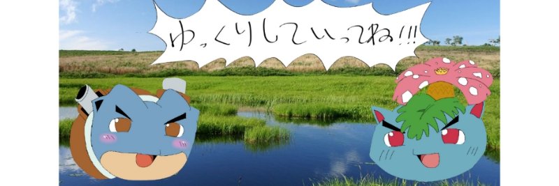 siwa's banner