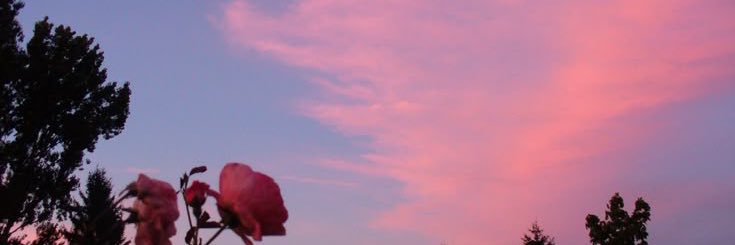 aphrodite_aura's profile banner image
