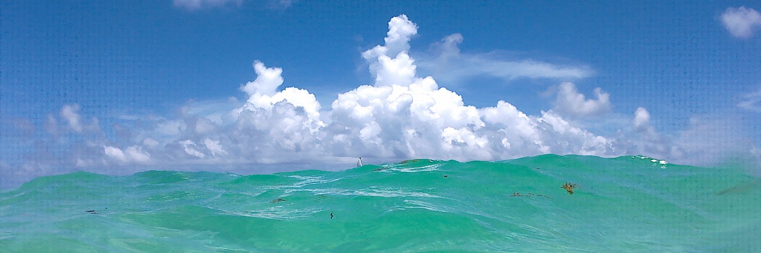 SpaghettiPolicy banner