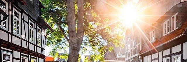 AliAuoi's profile banner image