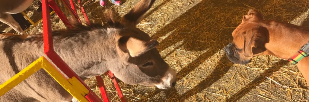 Fat Ass Glass Company banner