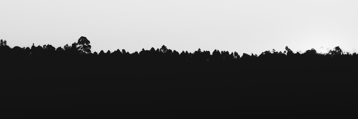nitinkc99's profile banner image