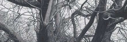 toraji_v's profile banner image