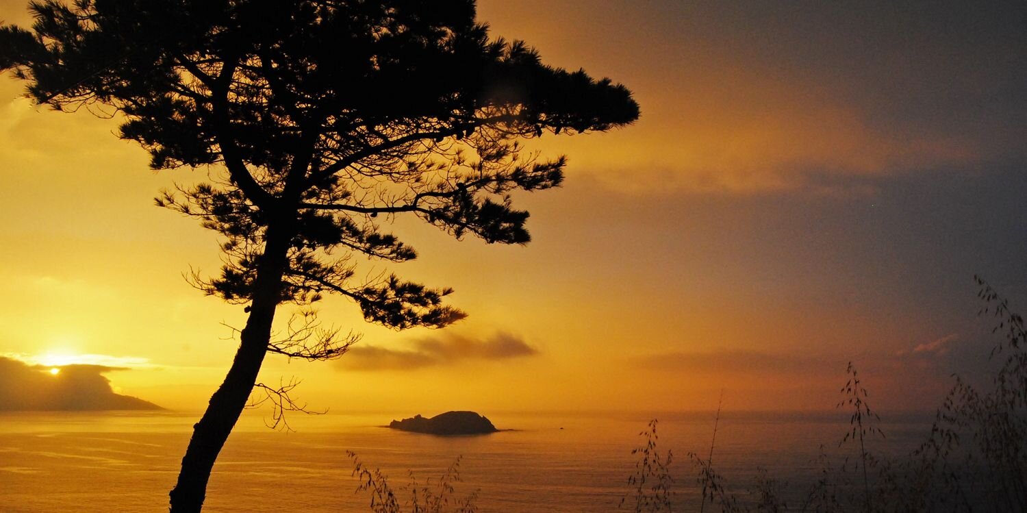 aitzolcortijo's profile banner image