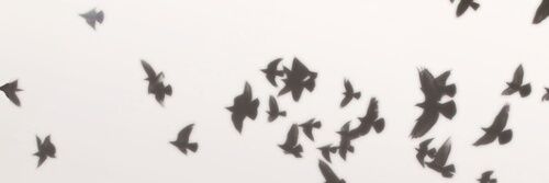 QVueltera's profile banner image